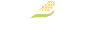 lienhart-logo